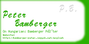 peter bamberger business card